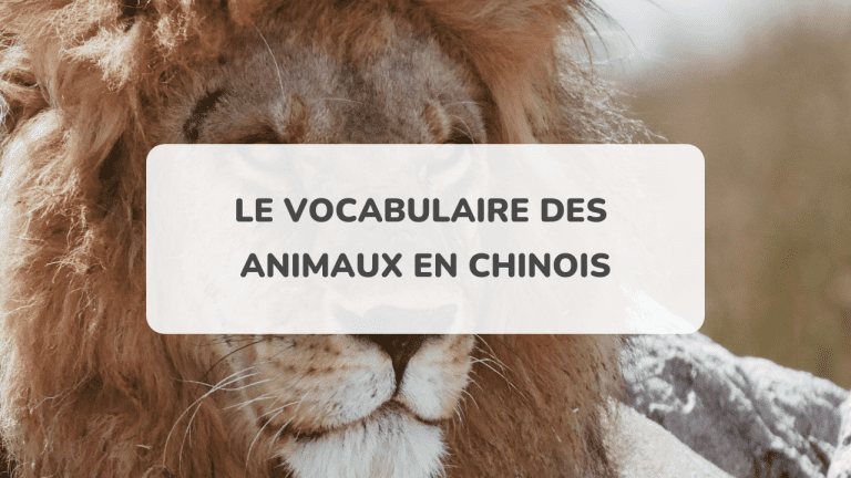 le vocabulaire des animaux en chinois