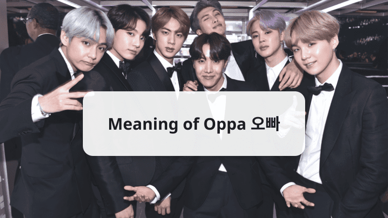 Meaning of Oppa 오빠, Noona, Unnie, Hyung and more!
