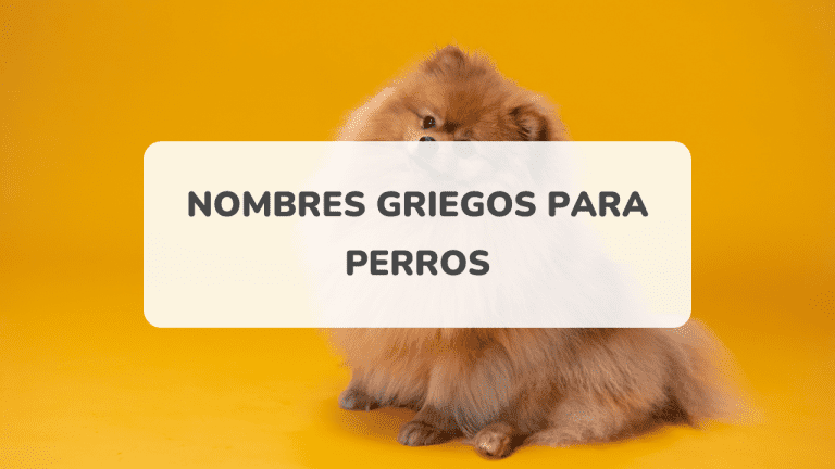 nombres griegos perros